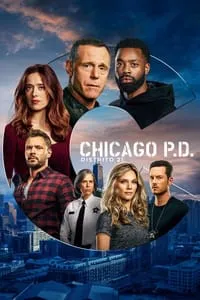 Chicago P.D. – 1ª a 5ª Temporada Completa
