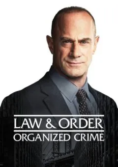 Law & Order: Crime Organizado – 2ª Temporada Completa