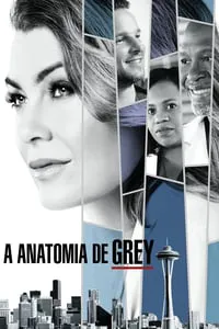 Grey’s Anatomy Todas as Temporadas Completas